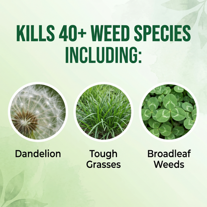 🌿UK 𝙊𝙛𝙛𝙞𝙘𝙞𝙖𝙡 𝙎𝙩𝙤𝙧𝙚 | Healrize® 2-in-1 Max Strength Herbicide:𝐅𝐚𝐬𝐭 𝐀𝐜𝐭𝐢𝐧𝐠 𝐑𝐞𝐬𝐮𝐥𝐭𝐬 on Glyphosate-Resistant Weeds🎁